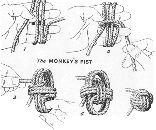 Fist knots monkey