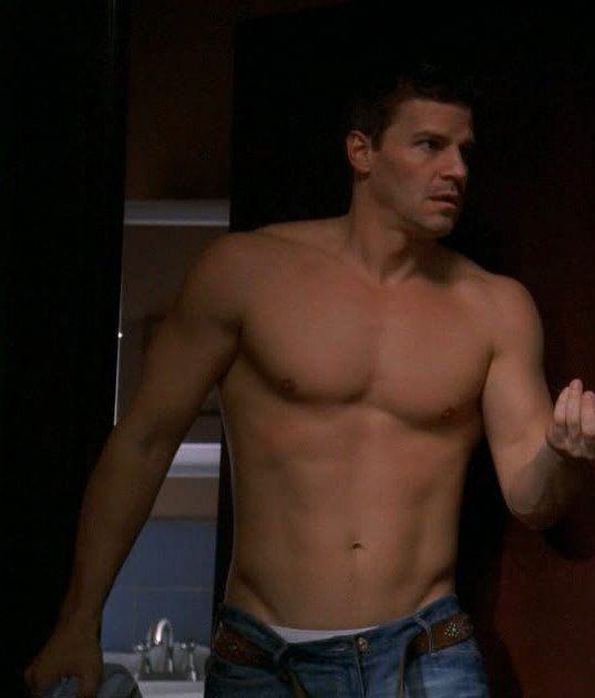 David Boreanaz Nude