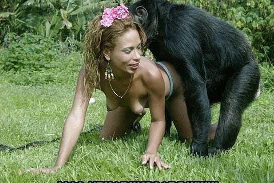Asian Girls Fucking Monkeys - Monkey fucking girl pic - 23 New Sex Pics. Comments: 2
