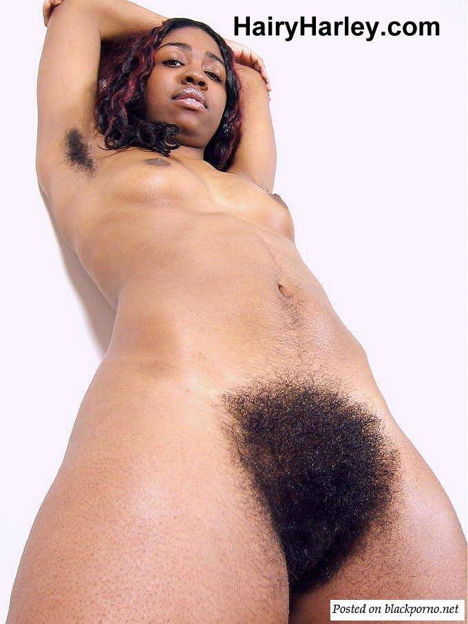 African porn big hairy nacked black